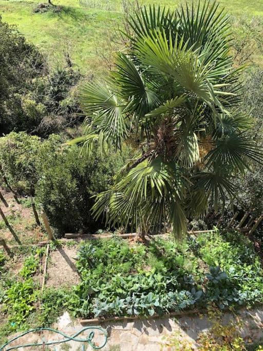 Ca' Cuore In Monferrato Serralunga di Crea Bagian luar foto