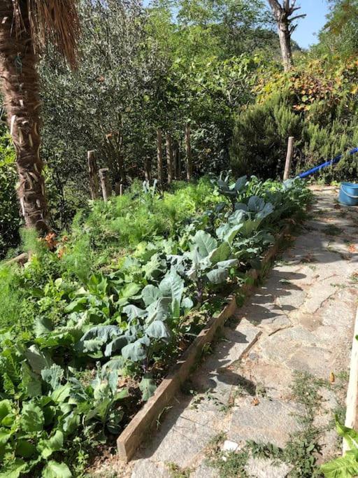 Ca' Cuore In Monferrato Serralunga di Crea Bagian luar foto